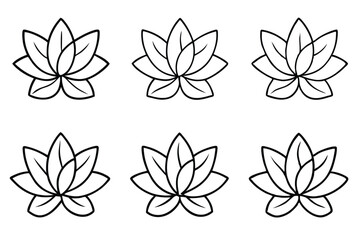 Sedum Leaf Line Art Illustration for Nature Inspired Design 