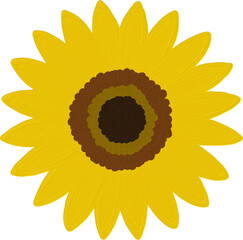 Fototapeta premium Sunflower Flower Oil Paint Doodle