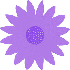 Xeranthemum Flower Oil Paint Doodle