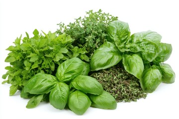 Fototapeta premium Fresh assortment of green herbs including basil and thyme arranged on a white background