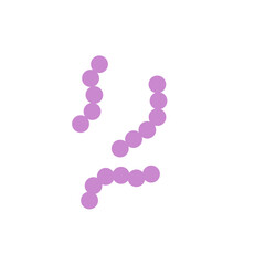 Streptococcus bacteria. Streptococcus pyogenes cells. Vector illustration 