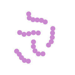 Streptococcus bacteria. Streptococcus pyogenes cells. Vector illustration 