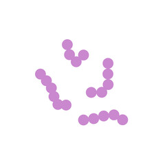 Streptococcus bacteria. Streptococcus pyogenes cells. Vector illustration 