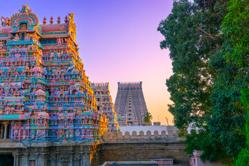 Sri Ranganatha Swamy temple is located in Srirangam, Tiruchirapalli, Tamil Nadu, South India. This Hindu temple dedicated to Ranganatha (a form of Vishnu) & his consort Ranganayaki (a form of Lakshmi.