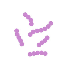 Streptococcus bacteria. Streptococcus pyogenes cells. Vector illustration 