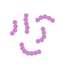 Streptococcus bacteria. Streptococcus pyogenes cells. Vector illustration 