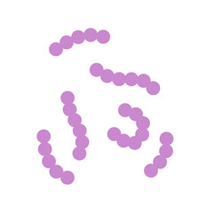 Streptococcus bacteria. Streptococcus pyogenes cells. Vector illustration 