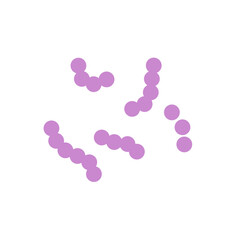 Streptococcus bacteria. Streptococcus pyogenes cells. Vector illustration 