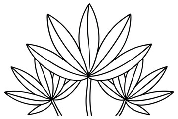 Senecio Leaf Line Art Creative Drawing for Floral Artwork  
