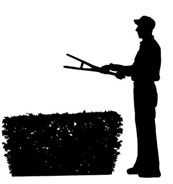 Hedge Shears clip art preview