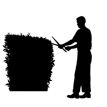 black silhouette man trimming hedge clip art preview