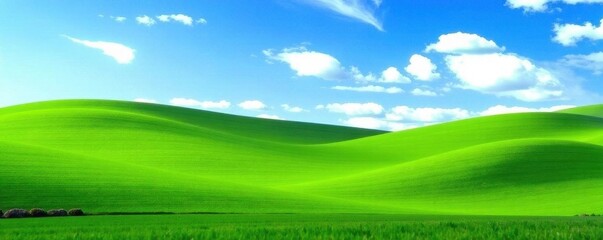 Obraz premium Rolling hills of vibrant green against a clear blue sky, flora, vegetation, botanical