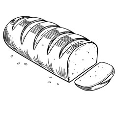 Hand-drawn loaf of bread sliced on a white background  