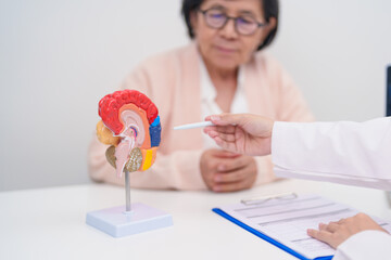 Elderly Patient consulting Doctor to Brain disease, Senior Health Medical Diagnosis. Anatomy Brain...