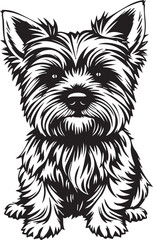 Yorkshire terrier dog. Hand drawn vector illustration	