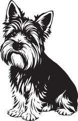 Yorkshire terrier dog. Hand drawn vector illustration	