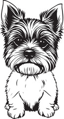 Yorkshire terrier dog. Hand drawn vector illustration	