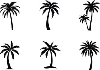 Black Silhouette Of Palm Trees On White Background For Tropical Designs