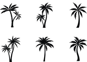 Obraz premium Black Silhouette Palm Trees Isolated On White Background Summer Tropical Vector Set