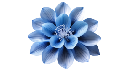blue flower isolated on white