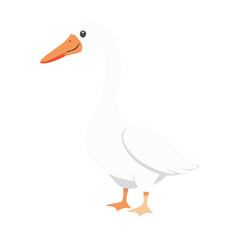 Obraz premium White goose standing isolated on white background
