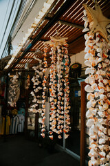 Muszelki © Katarzyna