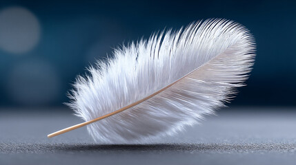 feather light: stress release