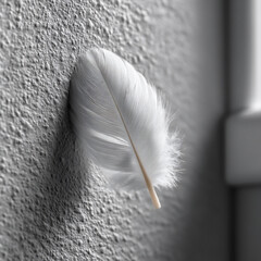 floating feather: delicate shadow