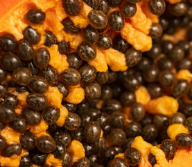 papaya seeds with pulp on white background.