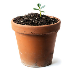 A Tiny Sprout Bravely Emerging From Rich Earth In A Worn Terracotta Pot, A Symbol Of New Life And Growth Against A Clean Isolated on Transparent Background