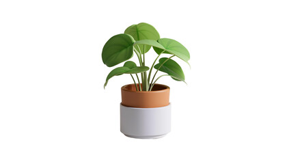 A leafy potted plant bringing freshness and calm to indoor or lifestyle design themes.