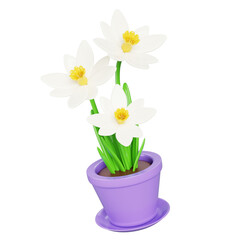 3d daffodil flower in pot. Narcissus bouquet, house plant in flowerpot for gift or home interior decor. Floral bunch with green leaf and blossom isolated on white background render