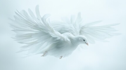 Fototapeta premium White dove gliding gracefully against a soft, cloudy background in a serene atmosphere