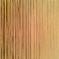 Fototapeta premium Aerial View of Golden Wheat Field Rows in Summer
