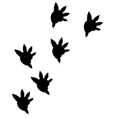 Hand drawn dinosaur footprints 