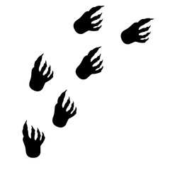 Hand drawn dinosaur footprints 