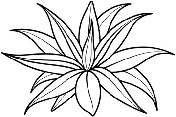 Spider Plant Leaf Line Art Artistic Drawing for Home Decor  