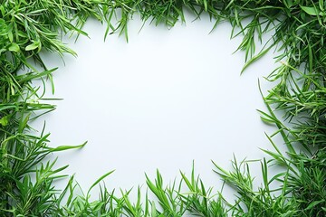 Green grass border frame framing element on white background