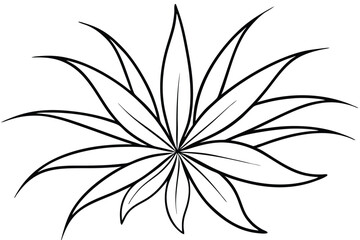 Spider Plant Leaf Line Art Modern Design for Nature Illustration  