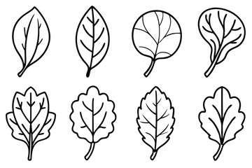 Spinach Leaf Line Art Creative Design for Botanical Illustration Ideas 