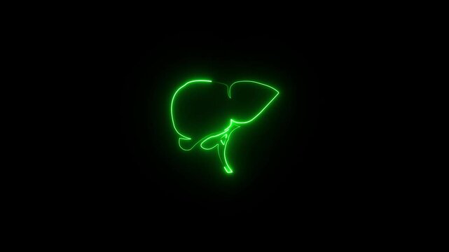 A human Digestion Stomach Royalty Glowing neon liver icon concept . Animation of a Digestion human Stomach in liver on black background. 4k video