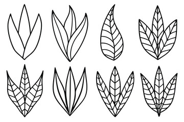 Snake Plant Leaf Line Art Illustration for Elegant Interior Designs  