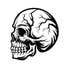 Detailed Black and White Skull Outline, Side View, Intricate Lines, Anatomy Study