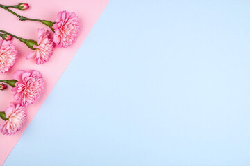pink carnations on a blue and pink background