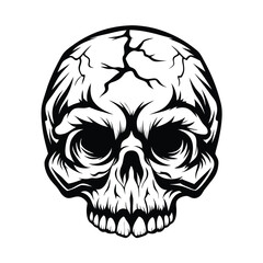 Skull Silhouette Detailed Black and White with Intricate Bone Structure