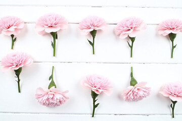 Obraz premium pink carnations on a white wooden background
