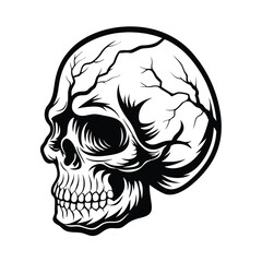 Monochrome Skull Design Side View Skull with Intricate Patterns & Bold Black Outline