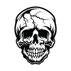 Bold Black Skull with Intricate Cracks & Detailed Tooth Structure, on White