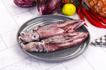 Raw fresh squid for cooking