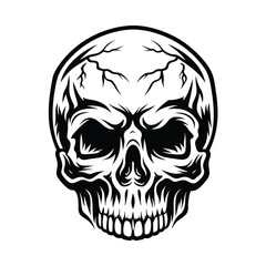 Stylized Skull Illustration, Black Outline, White Background, Skull Anatomy, Skull Art